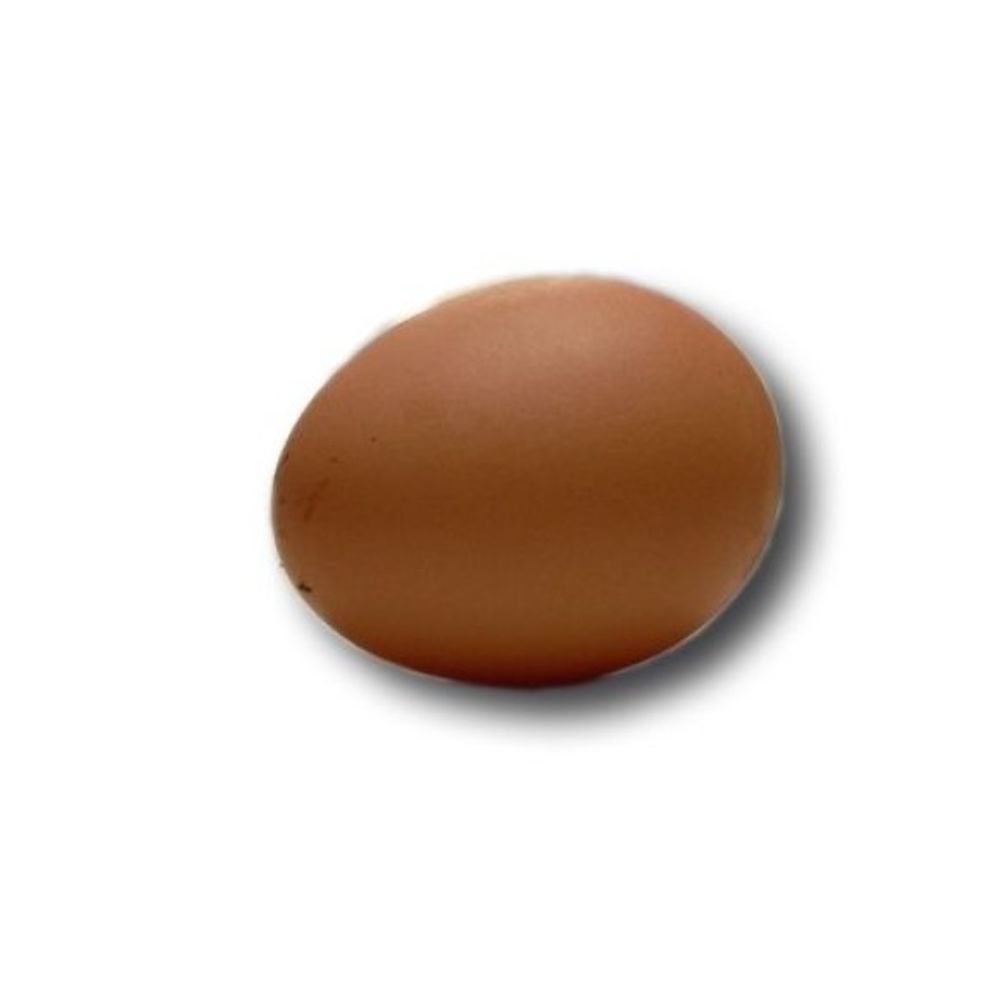 ISA Brown Pullet