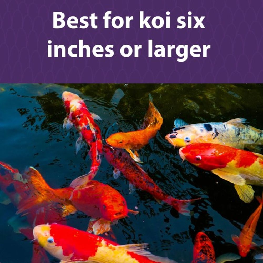 Mazuri, Koi Pond Nuggets, 20 lb