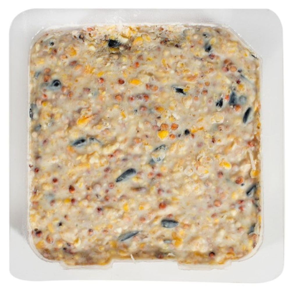 Nature's Nuts, Wild Berry Suet