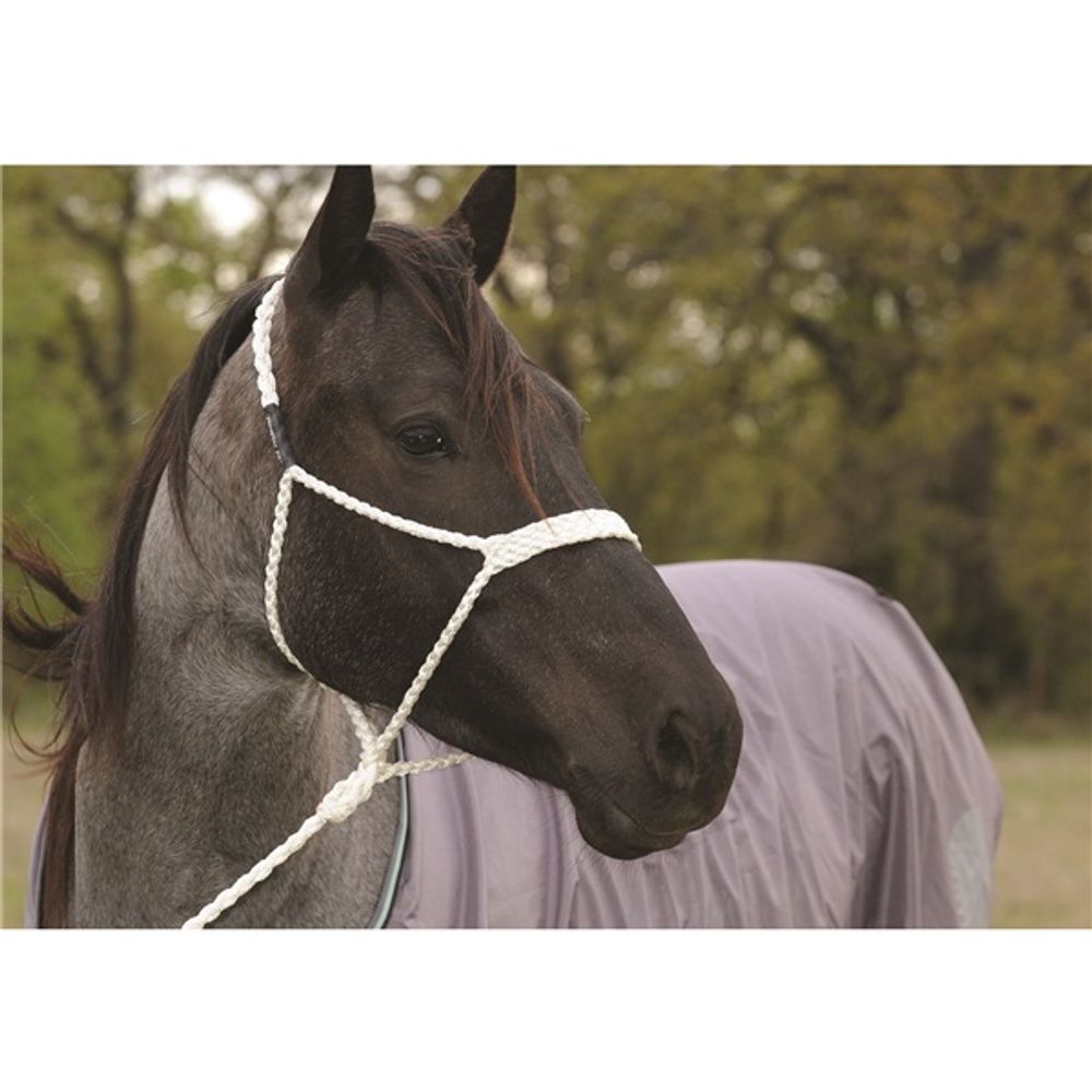 Jeffers Mule Tape - Licol tressé avec laisse de 3 m pour chevaux de 340