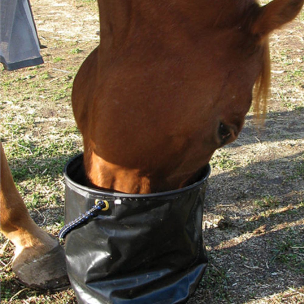 Cashel Collapsible Water Pail 