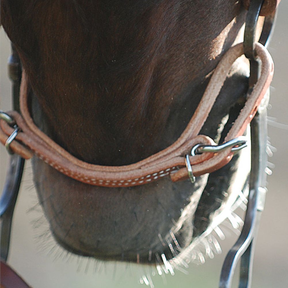 Martin Saddlery Leather Curb Strap