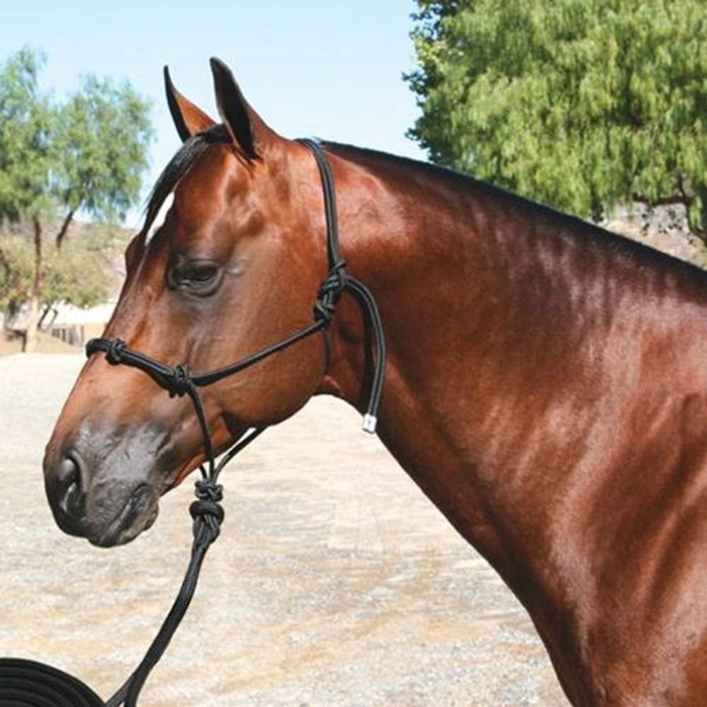Professional's Choice Black Clinician Horse Halter