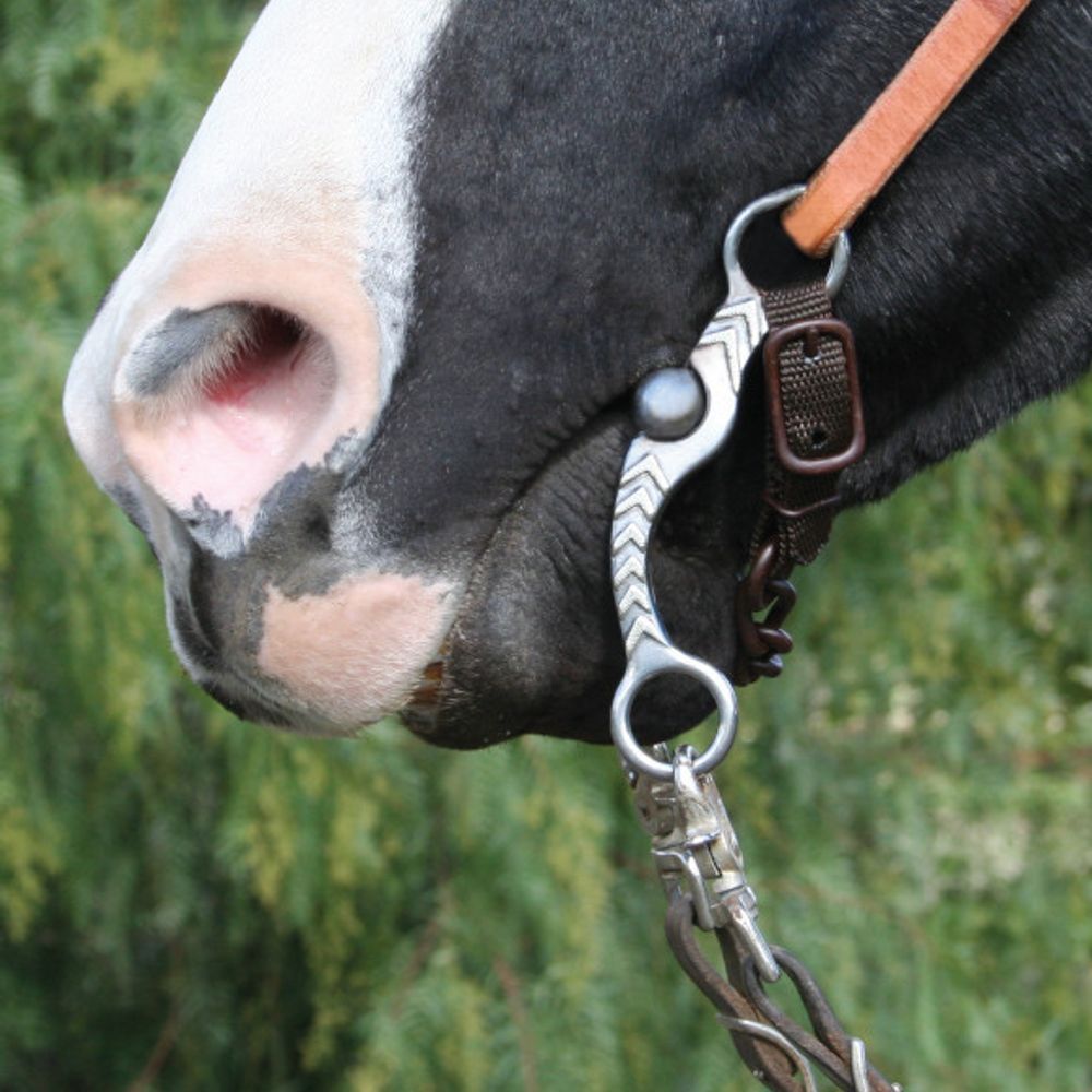 Professional's Choice Copper/Iron/Steel Stockman Horse Bit - 5 in Mouth