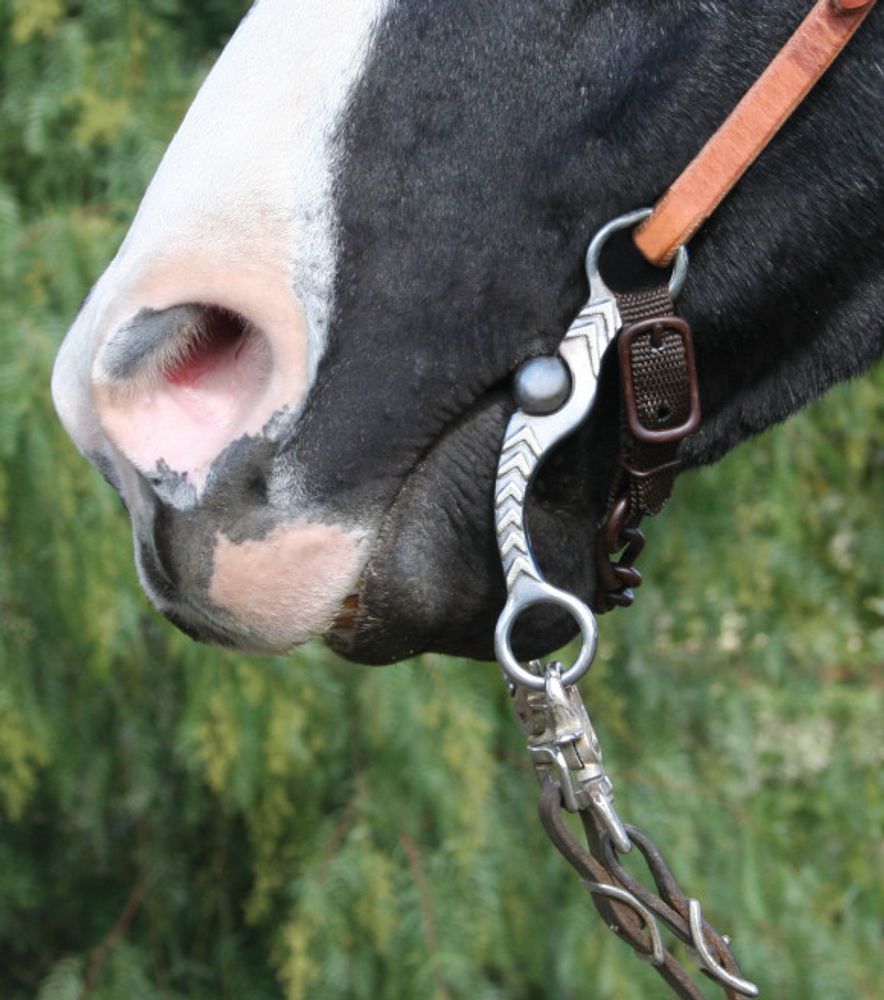 Professional's Choice Copper/Iron/Steel Stockman Horse Bit - 5 in Mouth