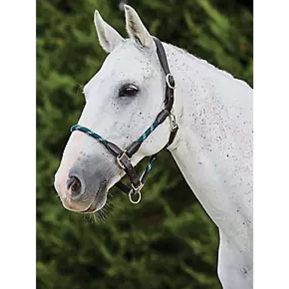 KINCADE, Green/Brown Leather Rope Halter
