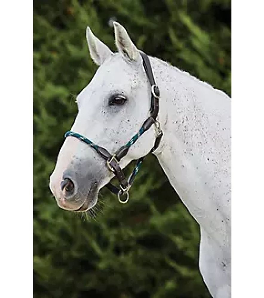 KINCADE, Green/Brown Leather Rope Halter