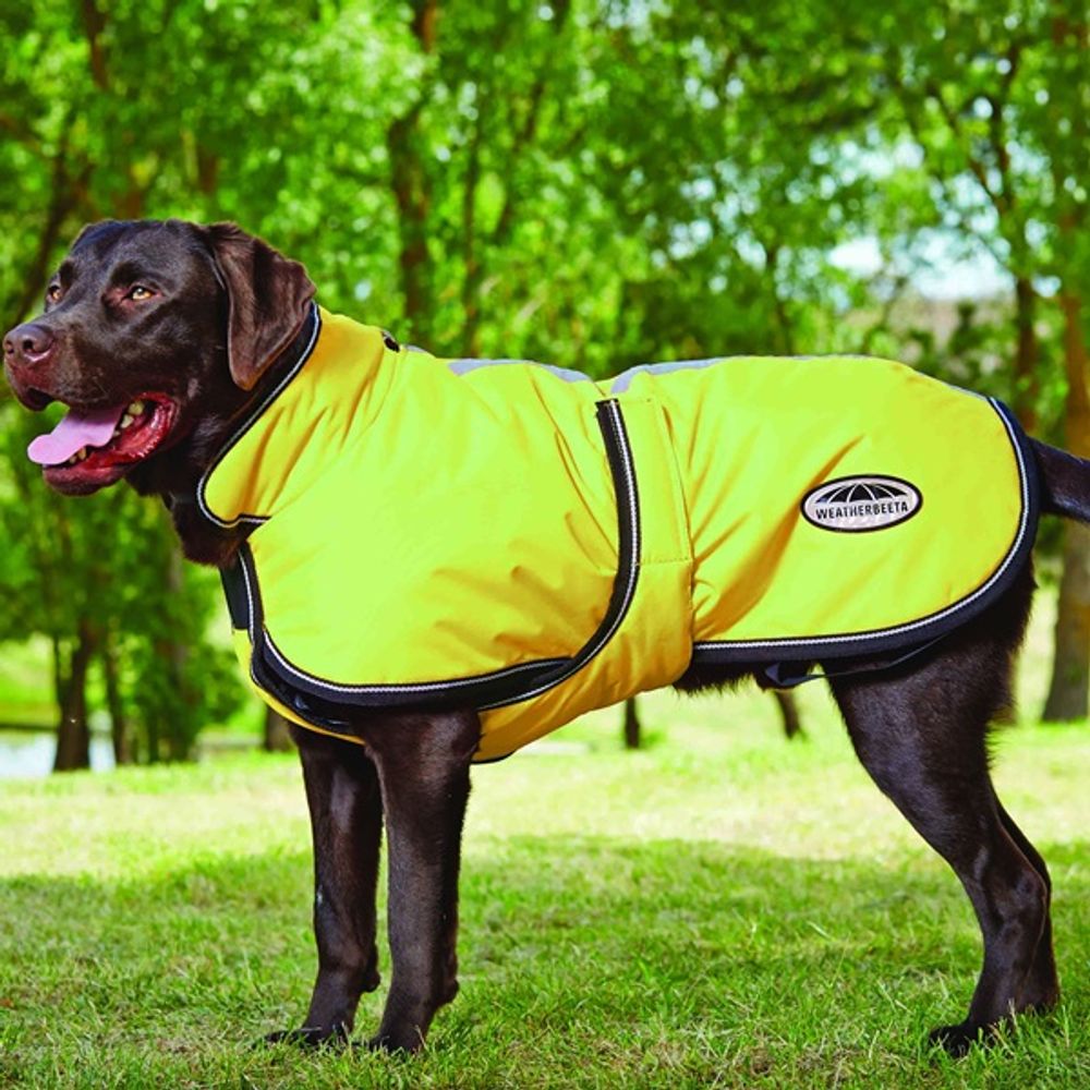 Weatherbeeta, ComFiTec Yellow Deluxe Dog Coat 