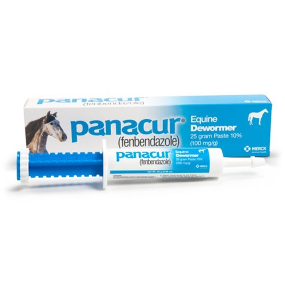 PANACUR, Equine Dewormer Paste, 25 gm