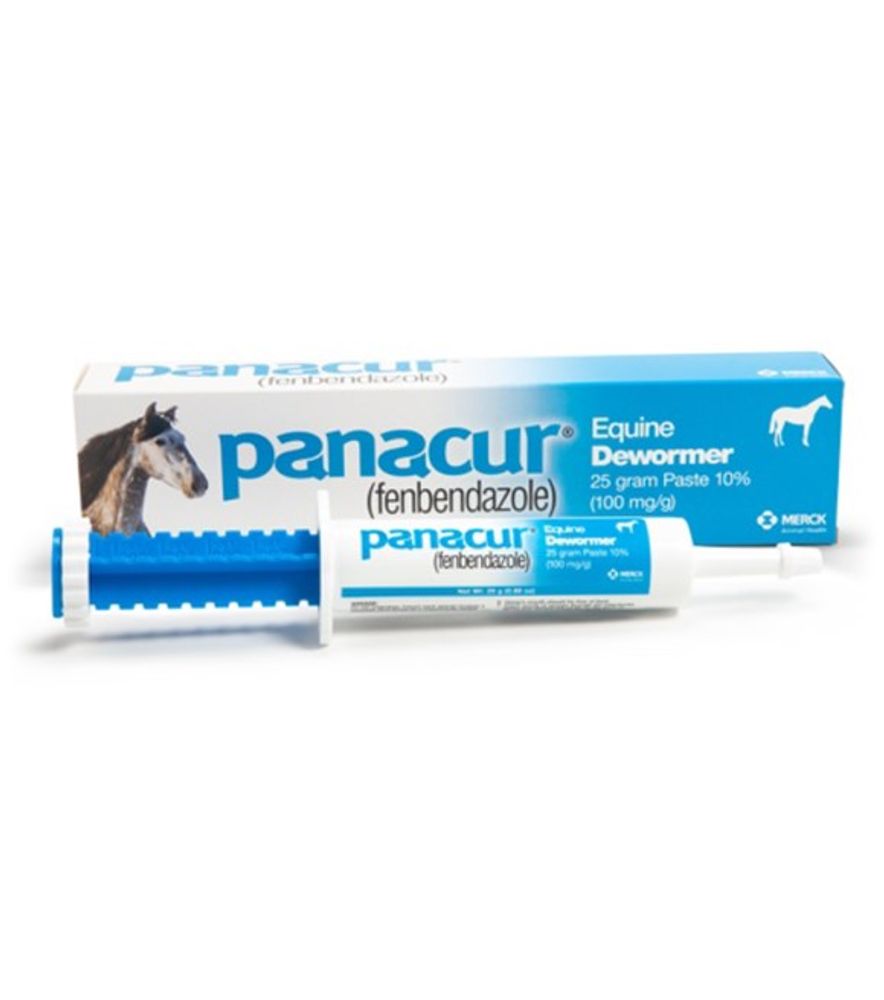 PANACUR, Equine Dewormer Paste, 25 gm