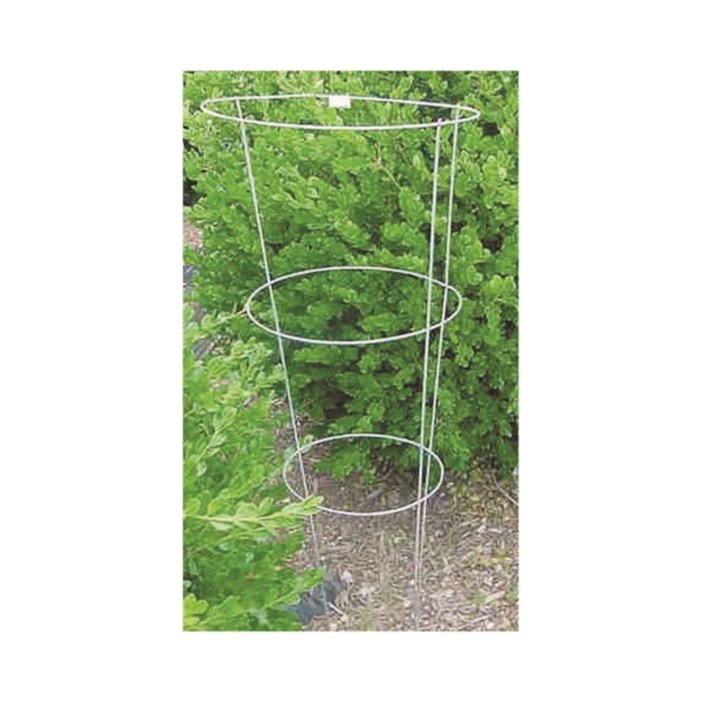 Midwest Wire Works, Galvanized Tomato Cage, 12 in X 33 in