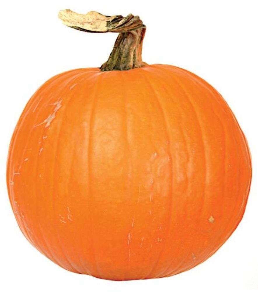 Medium Carving Pumpkin Average, 18 lb