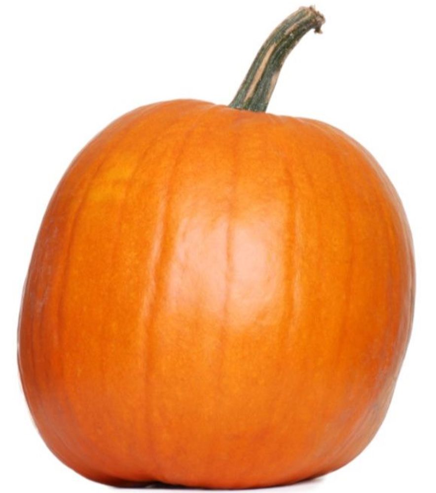 Large Carving Pumpkin Average, 28 lb