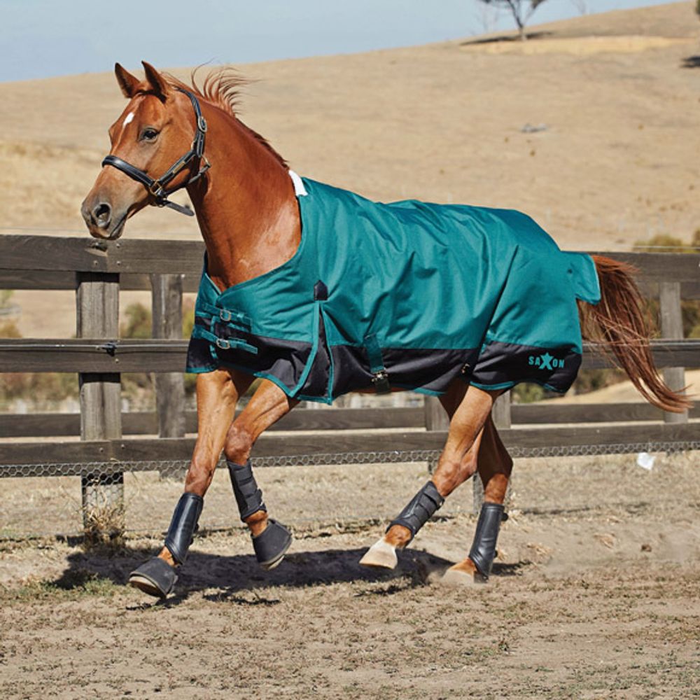 Weatherbeeta, Saxon 1200D With Gusset Standard Neck Medium, Hunter Green and Black