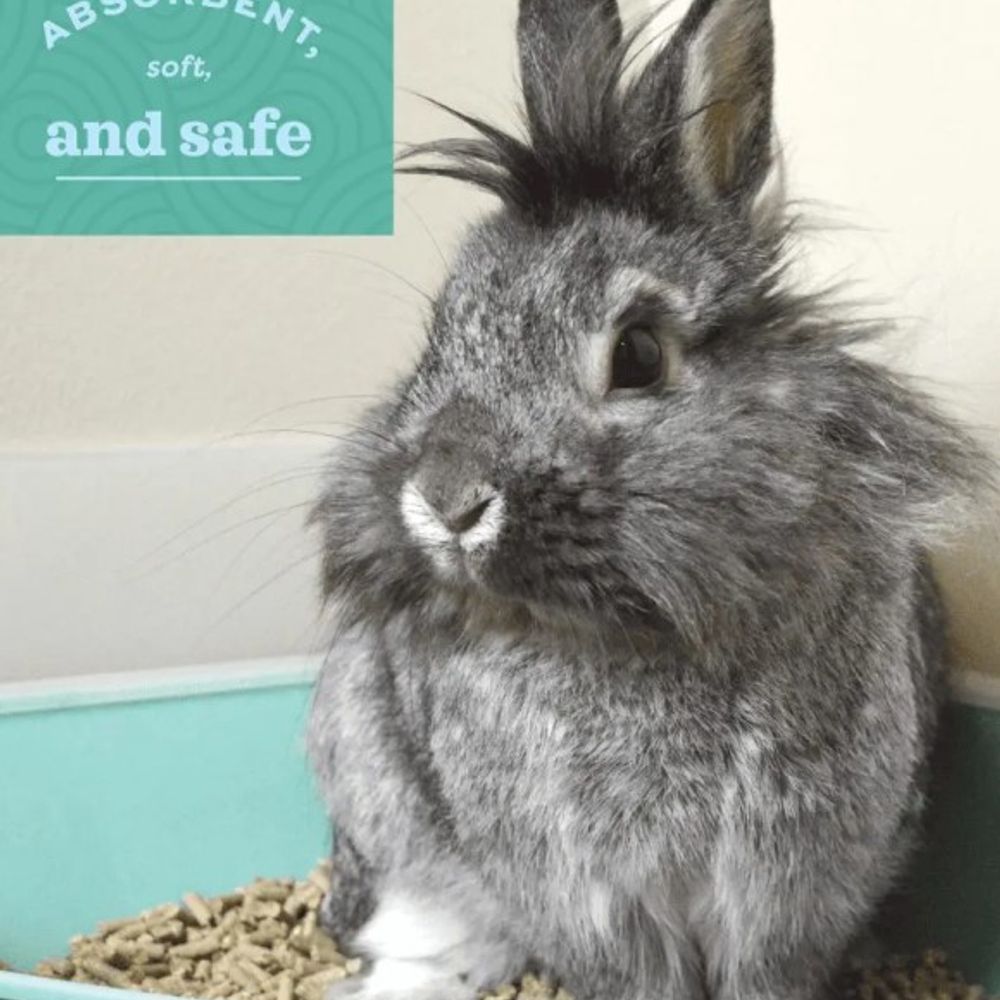 Oxbow, Eco-Straw Litter, 20 lb