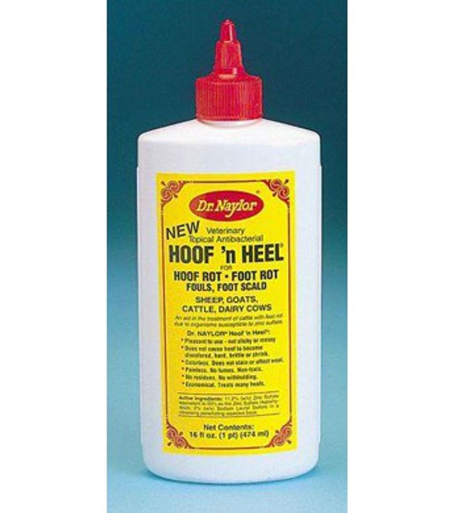 Dr. Naylor Hoof N' Heel Livestock Ointment, 16-oz.