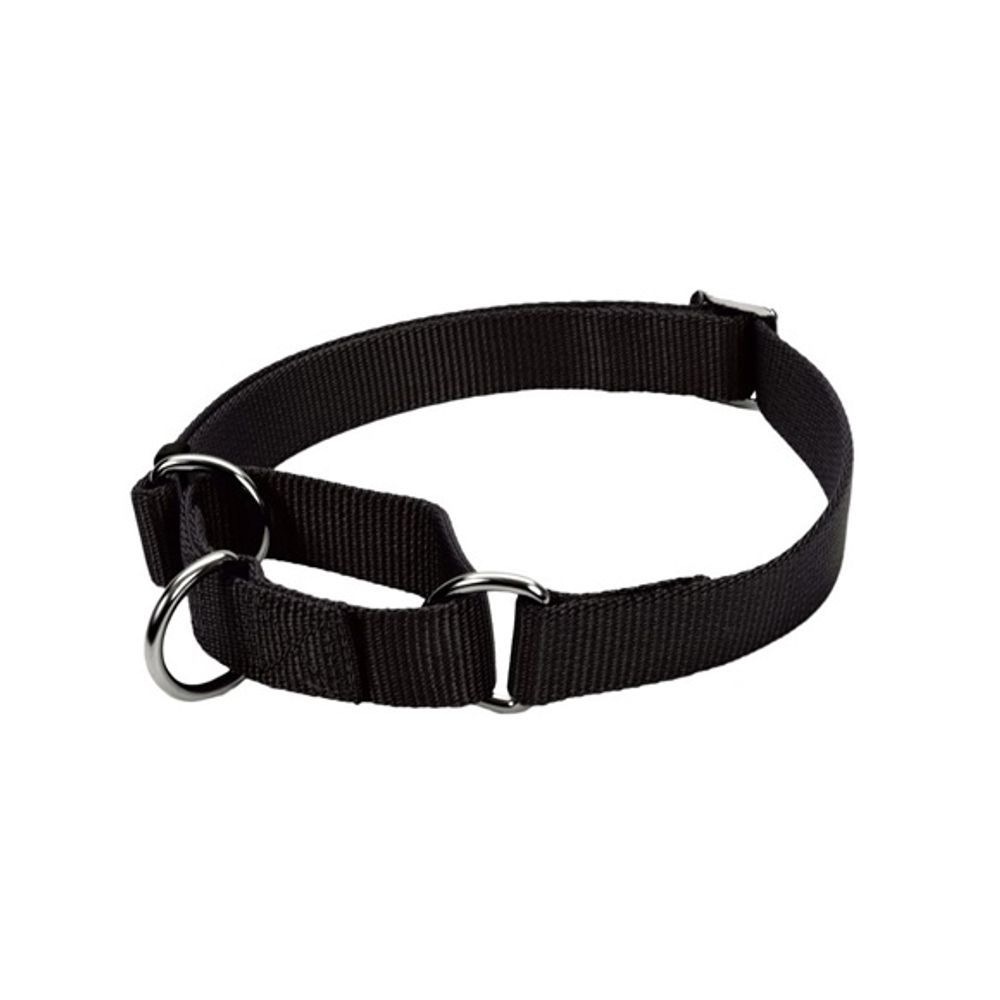 Coastal Pet Products, Martingale Adjustable Dog Collar