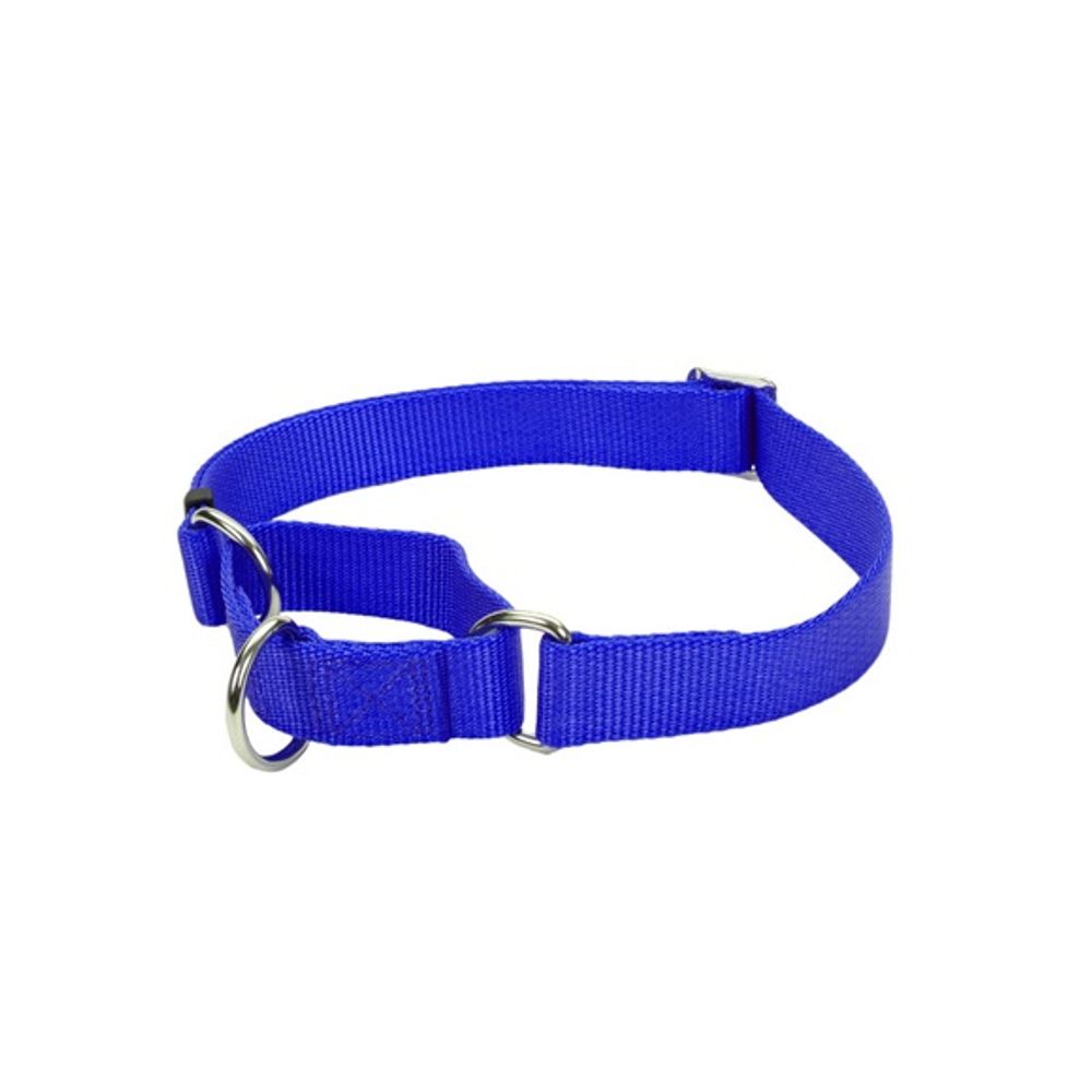Coastal Pet Products, Martingale Adjustable Dog Collar