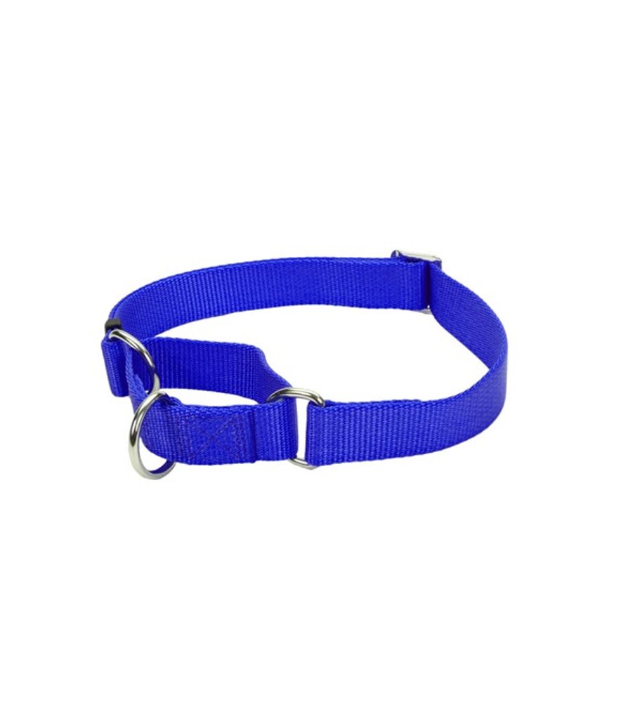 Coastal Pet Products, Martingale Adjustable Dog Collar