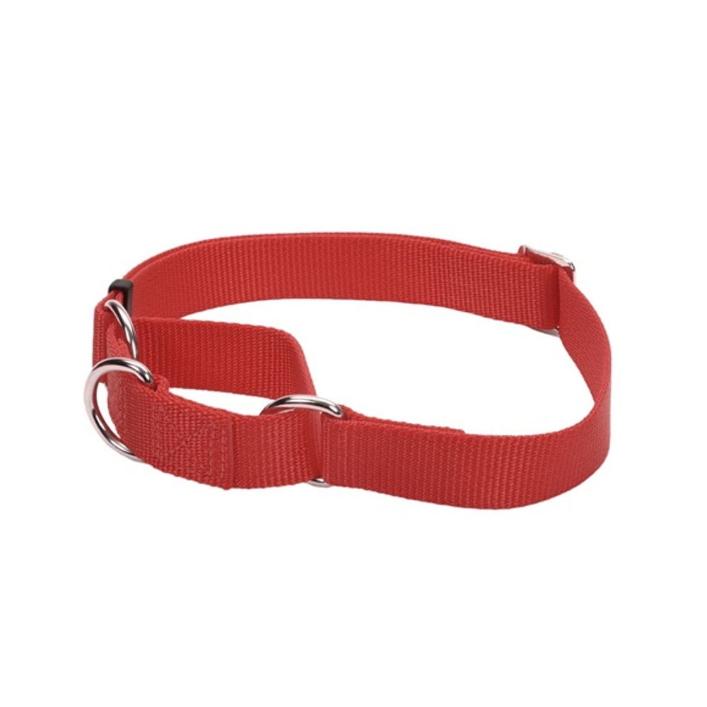 Coastal Pet Products, Martingale Adjustable Dog Collar