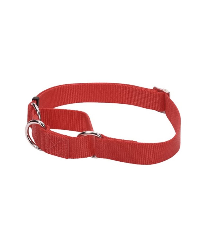 Coastal Pet Products, Martingale Adjustable Dog Collar