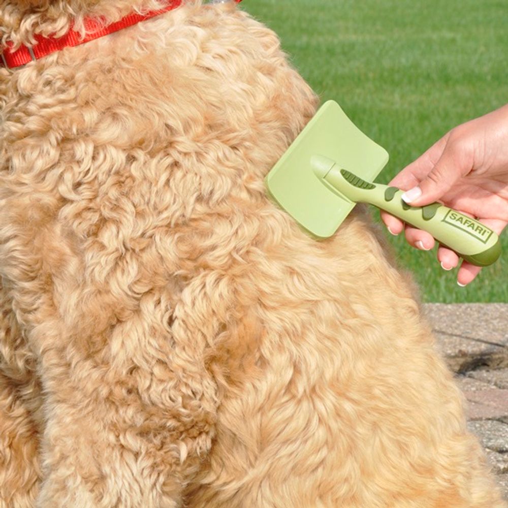 Safari, Short Hair Dog Slicker Brush