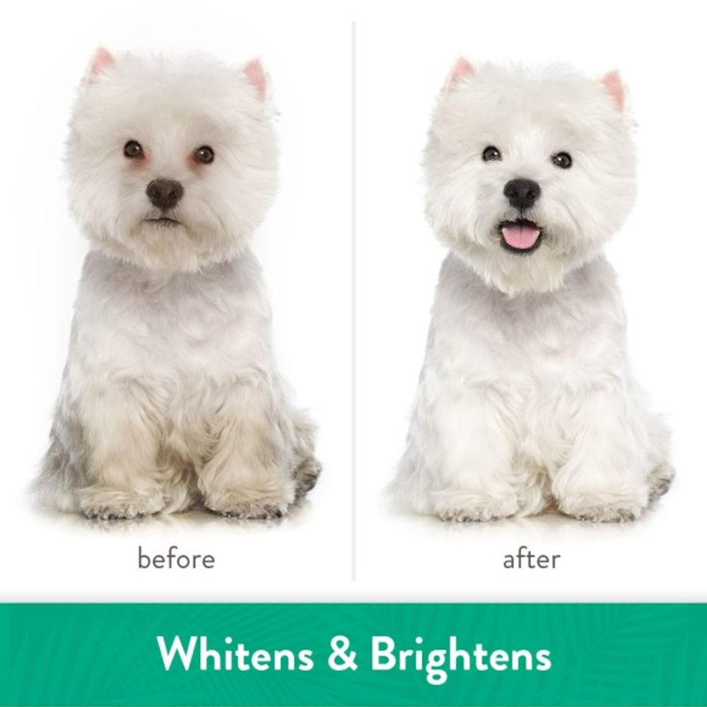 TropiClean, Awapuhi & Coconut Whitening Pet Shampoo, 20 oz