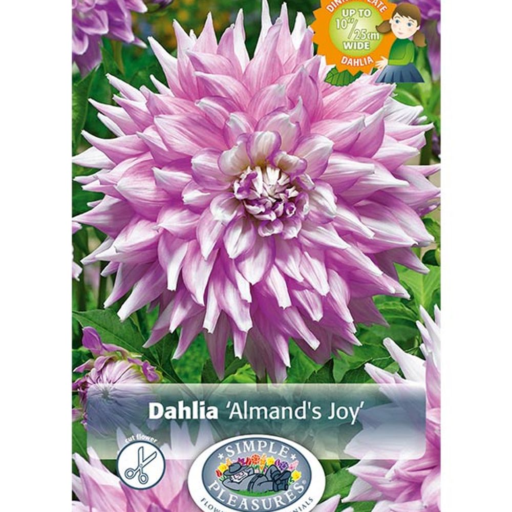 Dahlia Almand's Joy