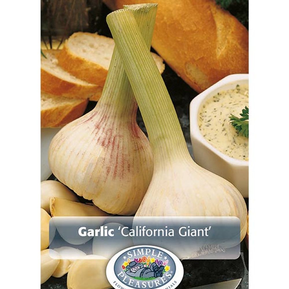 Garlic California Giant