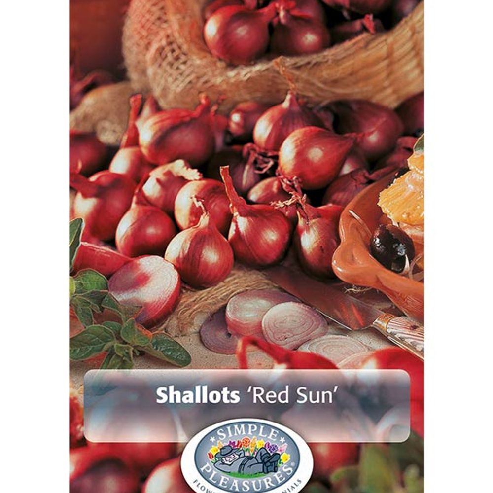 Shallots Red Sun