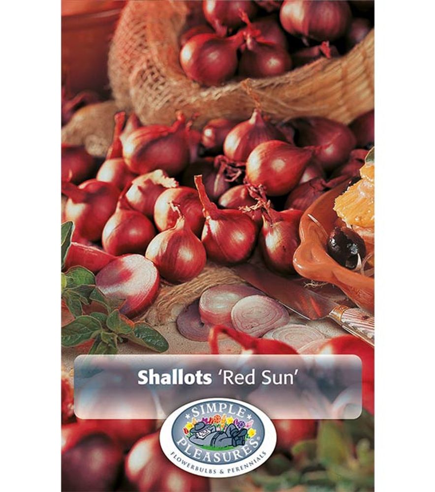 Shallots Red Sun