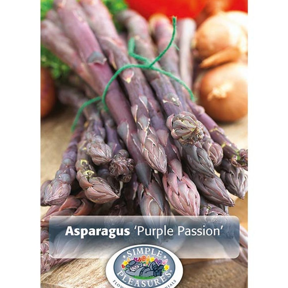 Asparagus Purple Passion