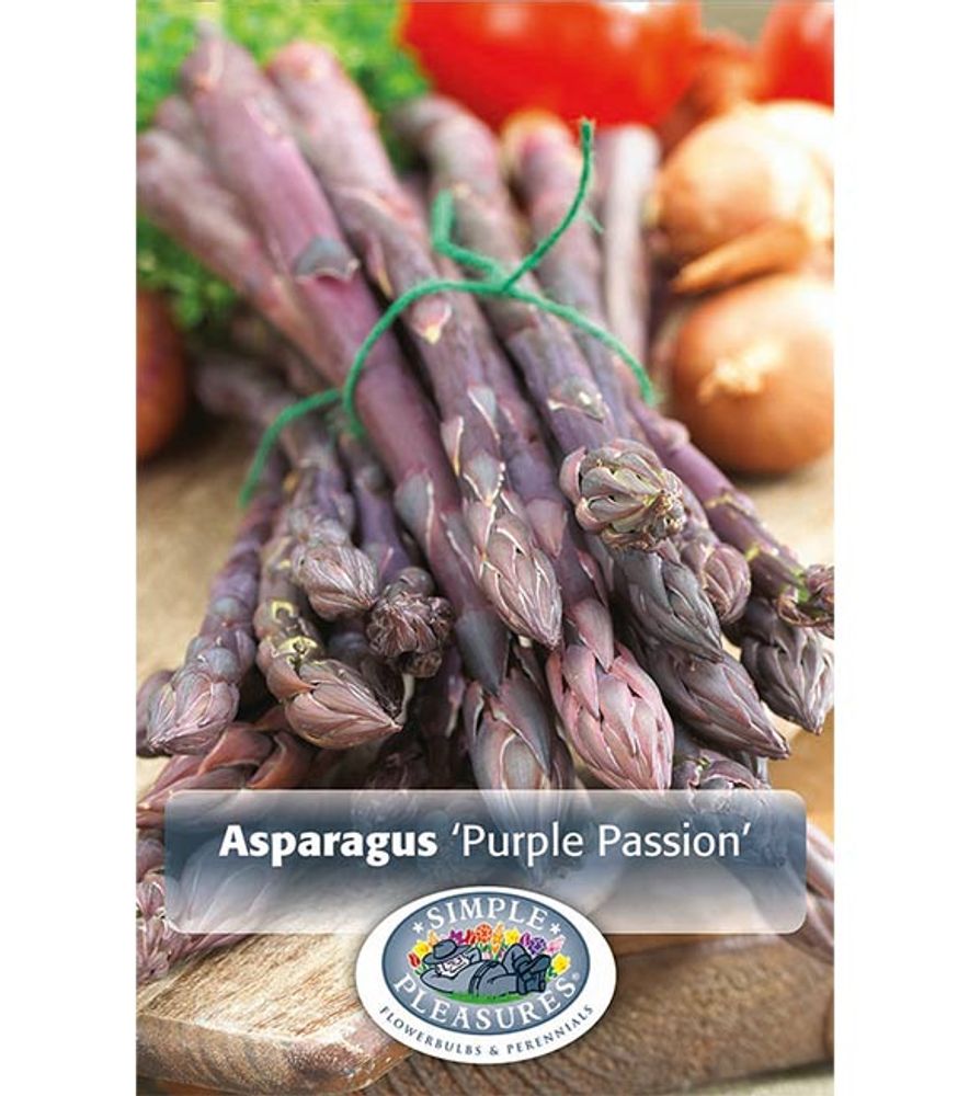 Asparagus Purple Passion