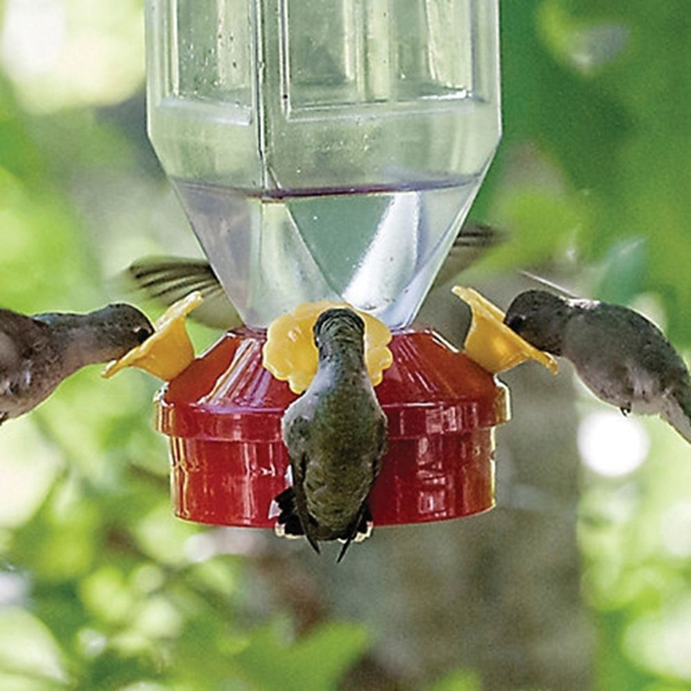 Perky-Pet Lantern Hummingbird Feeder