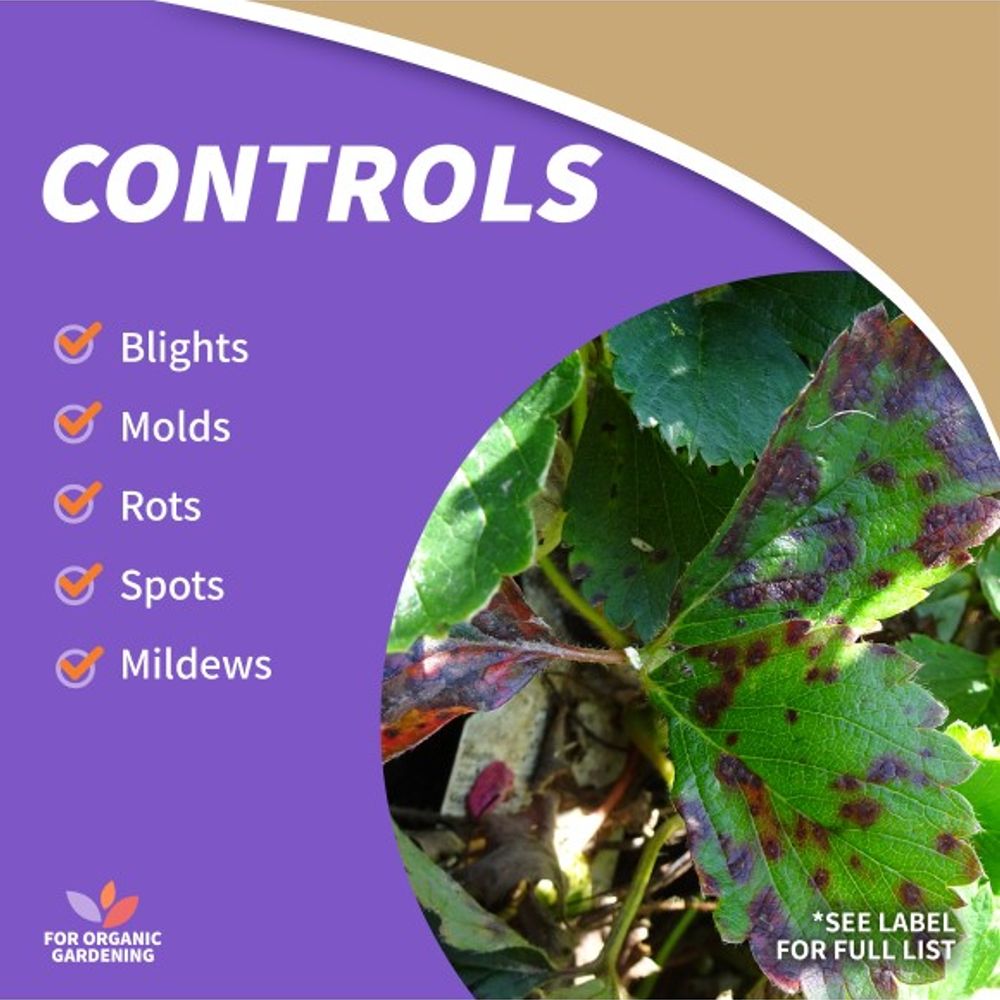 Bonide, Revitalize Bio Fungicide Concentrate, 16 oz