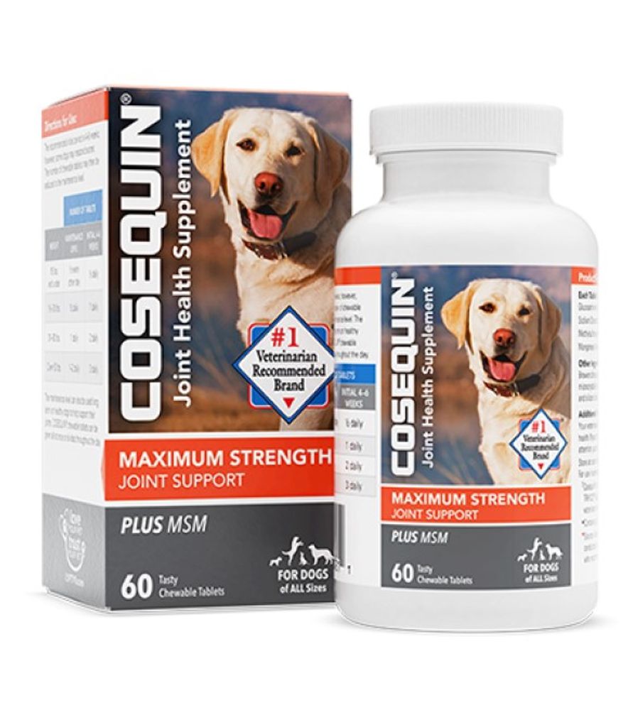 Cosequin DS, Maximum Strength Plus MSM Chewable Tablets, 60 ct