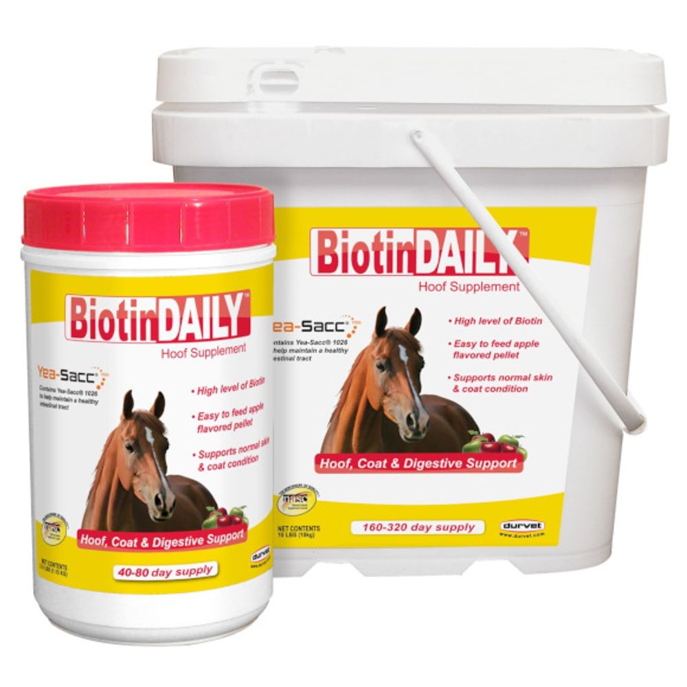 Durvet, Biotin Daily, 10 lb