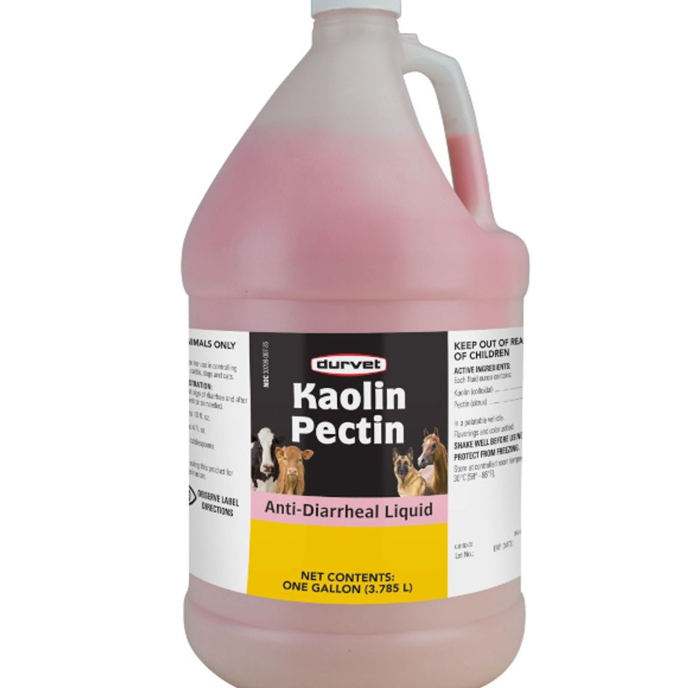 Durvet, Kaolin Pectin, 1 gal