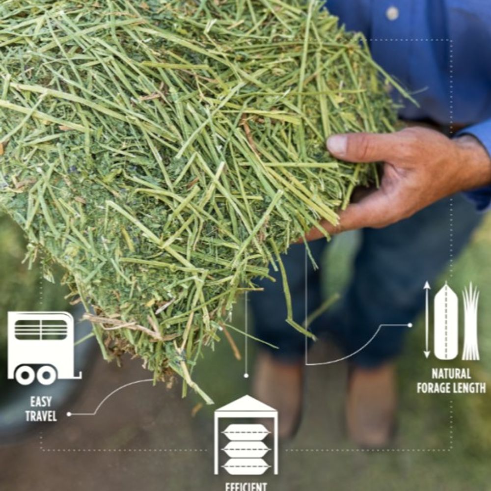 Standlee, Certified Alfalfa Grab & Go Compressed Bale, 50 lb