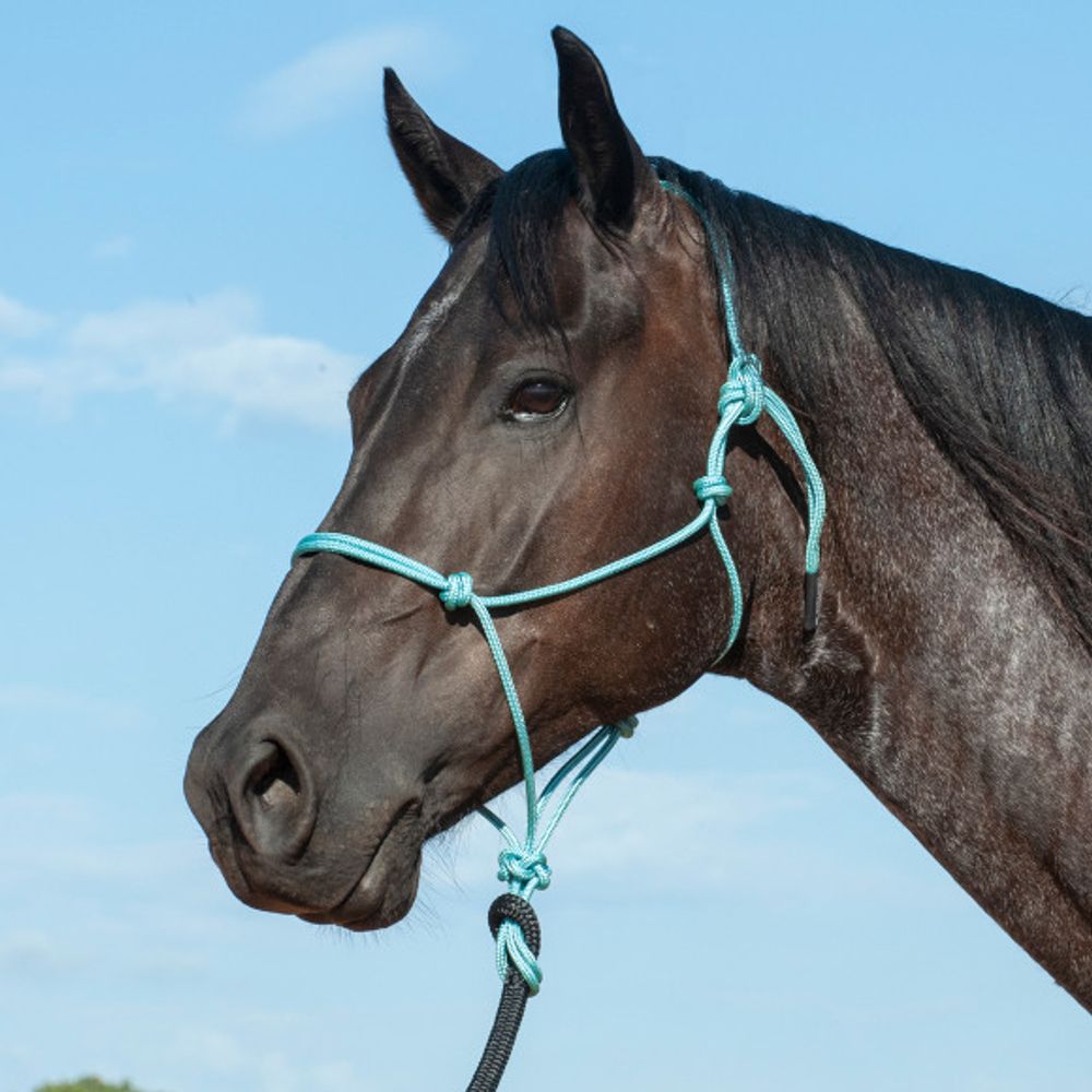 Classic Equine, Premium Rope Halter and Lead Rope