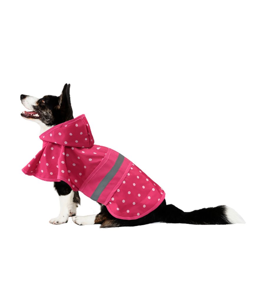 Fashion Pet, Polka Dot Dog Raincoat