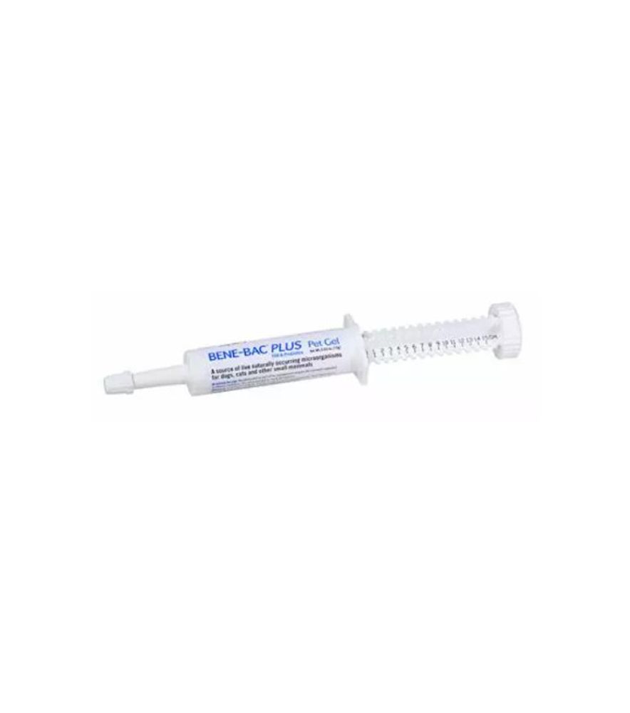 BENEBACK PROBIOTIC GEL 15GM