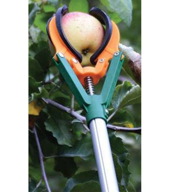 Zenport Industries, 6' Adjustable Telescop… ZL6146A | Wilco