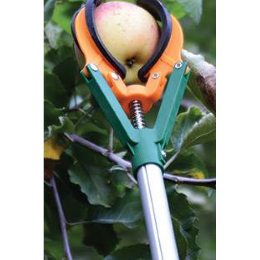 Zenport Industries, 6' Adjustable Telescopic Fruit Picker ZL6146A