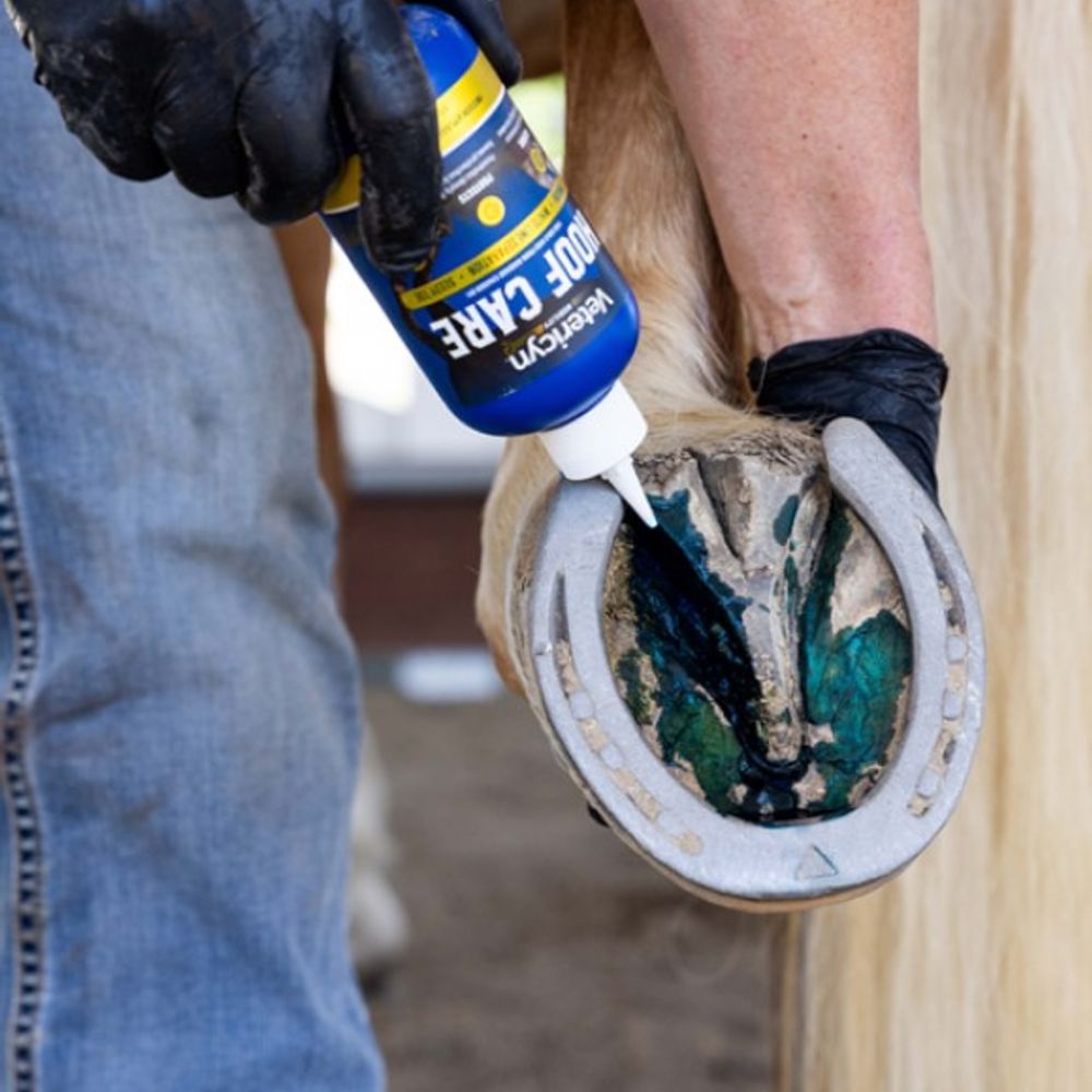 Vetericyn, Mobility Hoof Care Spray, 8 oz