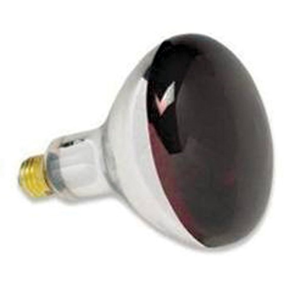 R40 250W Red Heat Lamp Bulb, 2 pk