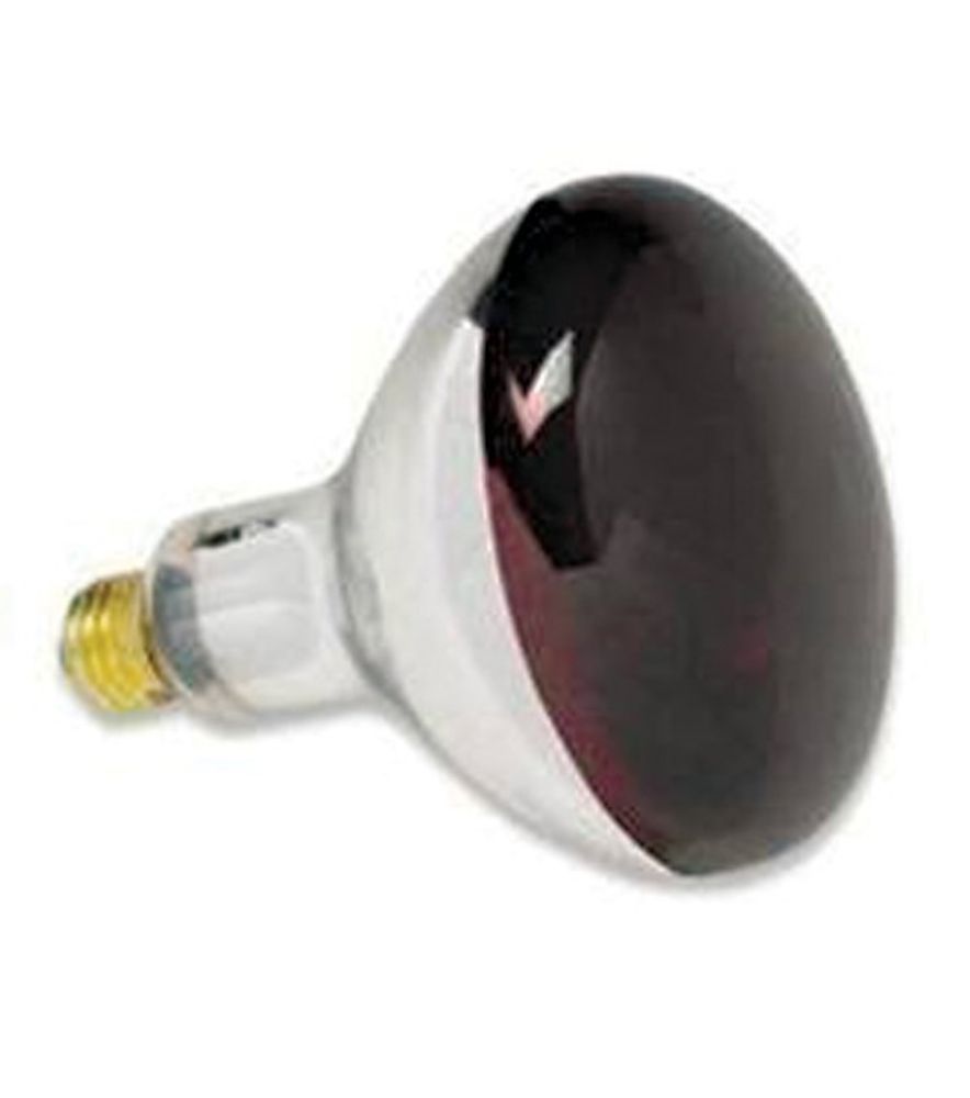 R40 250W Red Heat Lamp Bulb, 2 pk