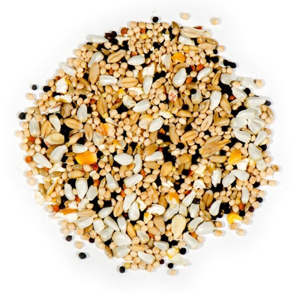 Nature's Nuts, Deluxe Dove & Quail Seed Blend 