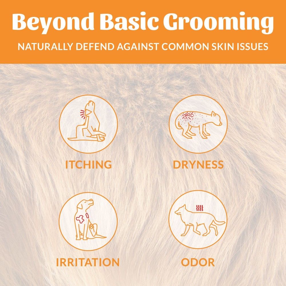 Skout's Honor, Honeysuckle Probiotic Pet Shampoo & Conditioner, 16 oz 