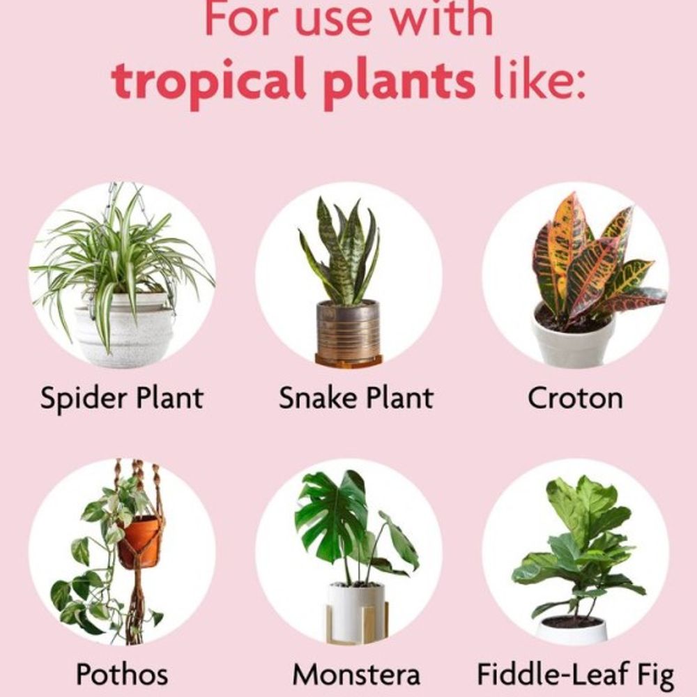 Miracle-Gro, Tropical Potting Mix, 6 qt